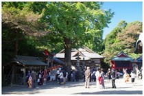20161105_二宮神社.jpg