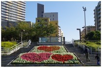 20161105_幕張海浜公園花のスロープ.jpg