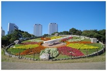 20161105_幕張海浜公園花時計.jpg