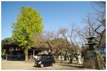 20161106_中山法華経寺.jpg