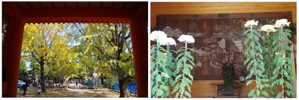 20161106_八幡葛飾八幡宮.jpg