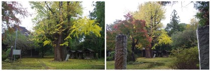 20161112_谷田の西福寺.jpg