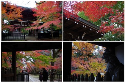 20161123東漸寺.jpg