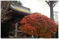 20161123長楽寺.jpg