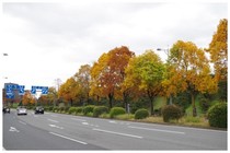 20161126三宅坂.jpg