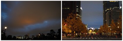 20161126皇居前.jpg
