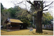 20161127_弘誓院.jpg