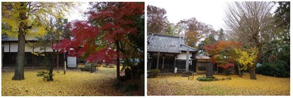 20161127_東光院.jpg