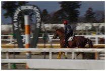 20170102_JRA競馬学校.jpg