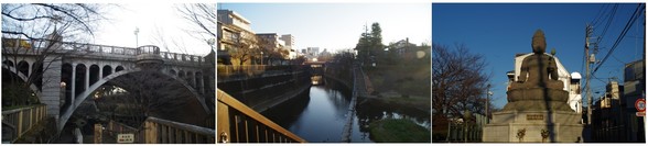 20170121_石神井川沿い.jpg