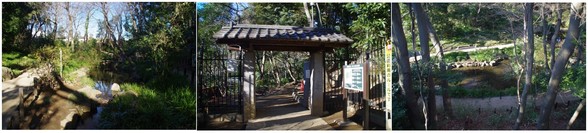 20170121_落合おとめ山公園.jpg