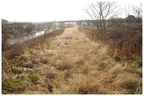 20170122_神崎川右岸.jpg