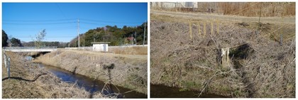 20170128_亀成川.jpg