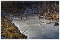 20170128_氷.jpg