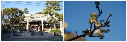20170204_六郷神社.jpg