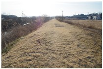 20170205_神崎川堤.jpg