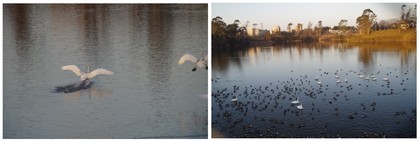 20170205_SWAn.jpg