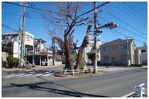 20170212_分岐.jpg