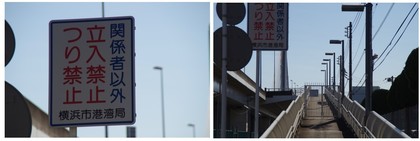 20170219_南本牧ふ頭.jpg