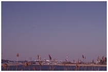 20170226_手賀沼.jpg