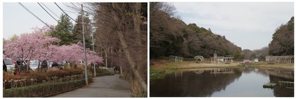 20170304_大町自然公園.jpg