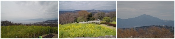 20170325_吾妻山公園.jpg