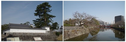 20170325_小田原城.jpg