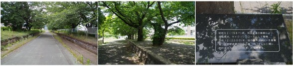 20170617_サイクリングロード.jpg