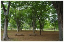 20170618_まるで高原.jpg