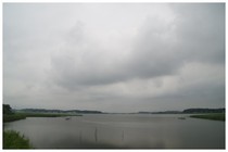 20170801_手賀沼.jpg