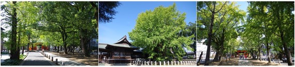 20171009_葛飾八幡宮.jpg