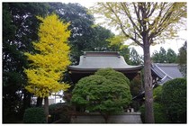 20171028_七次長楽寺.jpg