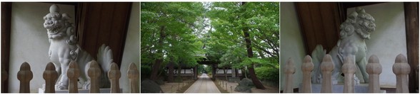 20171028_東漸寺.jpg