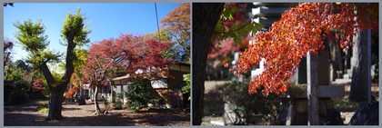 20171125_名内の東光院.jpg