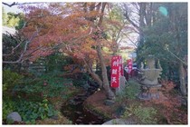 20171125_弘誓院の紅葉.jpg
