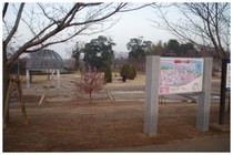 20171216_福岡堰さくら公園.jpg