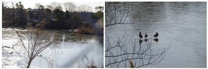 20180127_調整池.jpg