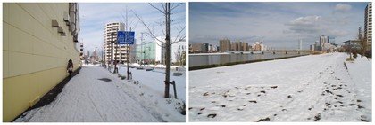 20180216_新潟市内.jpg