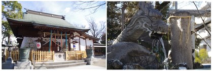 20180218_ː_.jpg