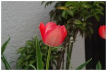 20180328_`[bv.jpg