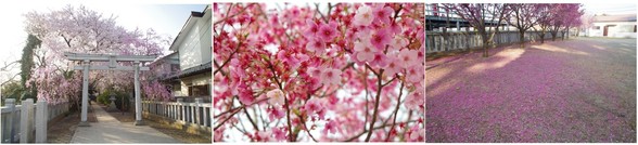 20180331_三咲稲荷神社.jpg