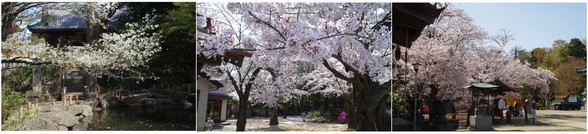 20180331_滝不動.jpg