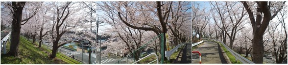 20180331_芝山高校.jpg