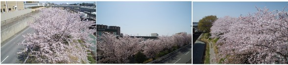 20180401_w.jpg
