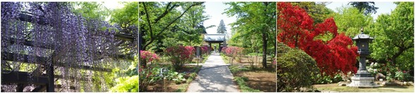 20180421_逆井観音寺1.jpg