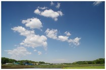 20180504_田園.jpg