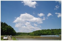 20180504_田植風景.jpg