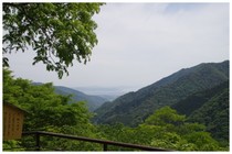 20180512_樫の木平.jpg