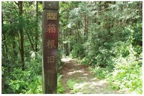 20180512_箱根街道.jpg