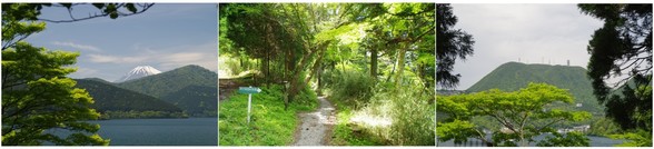20180512_芦ノ湖西岸.jpg